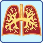 Pulmonary