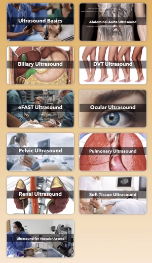 The Ultrasound Course - ONLINE